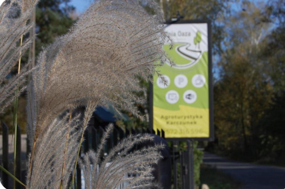 Vila Letnia Oaza "Forsycja" Sobienie Jeziory Exteriér fotografie